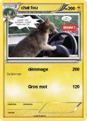chat fou