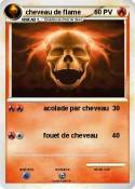 cheveau de