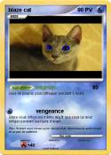 blaze cat