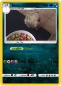 Moth