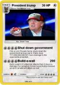 President trump