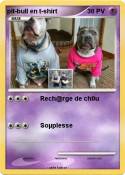 pit-bull en