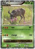 deer