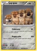 pup quad