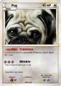 Pug