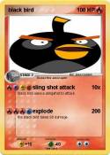 black bird