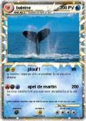 baleine