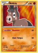 Mudbray