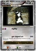 dap cat