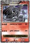 dragon noir