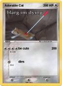 Adorable Cat