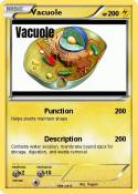 Vacuole