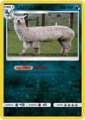 LAZY LLAMA
