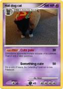 Hot dog cat