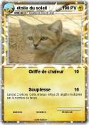 étoile du solei