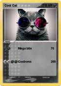 Cool Cat