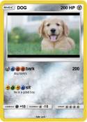 DOG