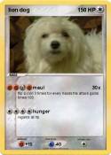 lion dog