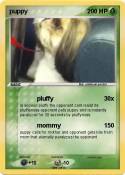 puppy