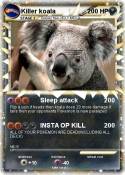 Killer koala