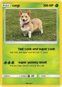 corgi