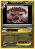 Angry hedgehog