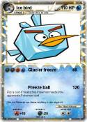 Ice bird