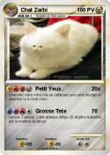 Chat Zarbi