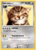 cute kiten