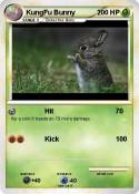 KungFu Bunny