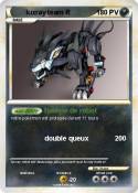luxray team R