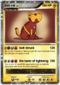 iron cat