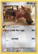 dog