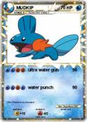 MUDKIP