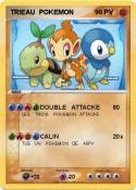 TRIEAU POKEMON