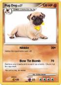 Pug Dog