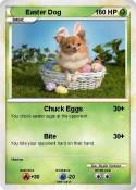 Easter Dog