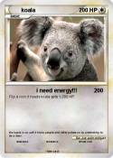 koala