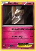 Harly Dog