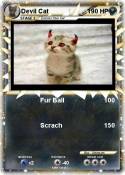 Devil Cat