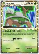 torterra