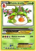 Matida druide
