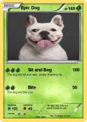 Epic Dog