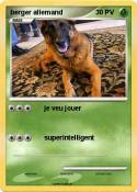 berger allemand