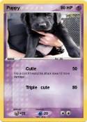 Puppy