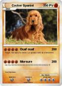Cocker Spaniel