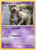 pit-bull @vec
