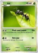 Ant