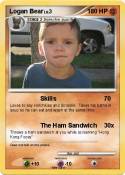 Logan Bear