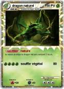 dragon naturel